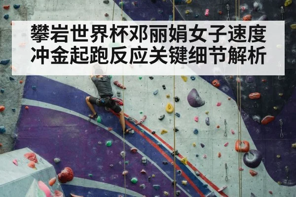 sport climbing competition wall